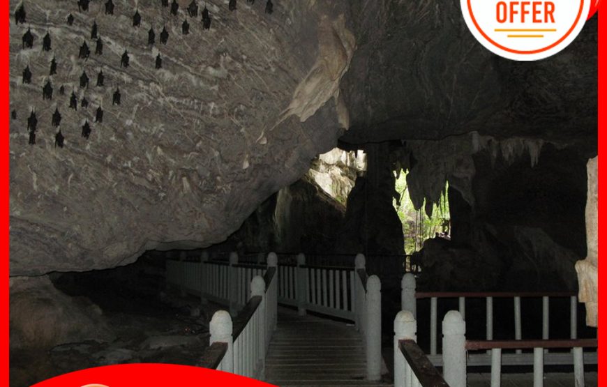Langkawi Mangrove Kilim Geoforest Park (Package D – 4 hours Private 18 pax Boat)