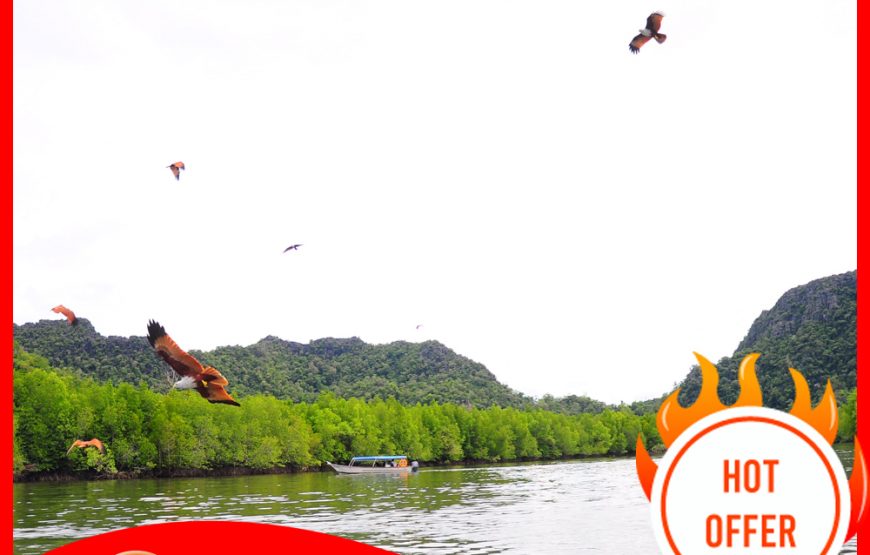 Langkawi Mangrove Kilim Geoforest Park (Package D – 4 hours Private 18 pax Boat)