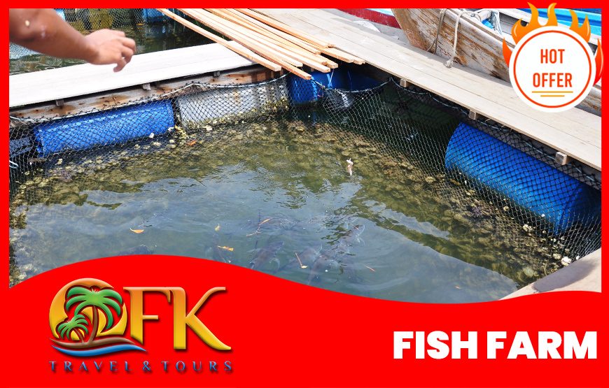 Langkawi Mangrove Tour 3 hrs Private per Boat