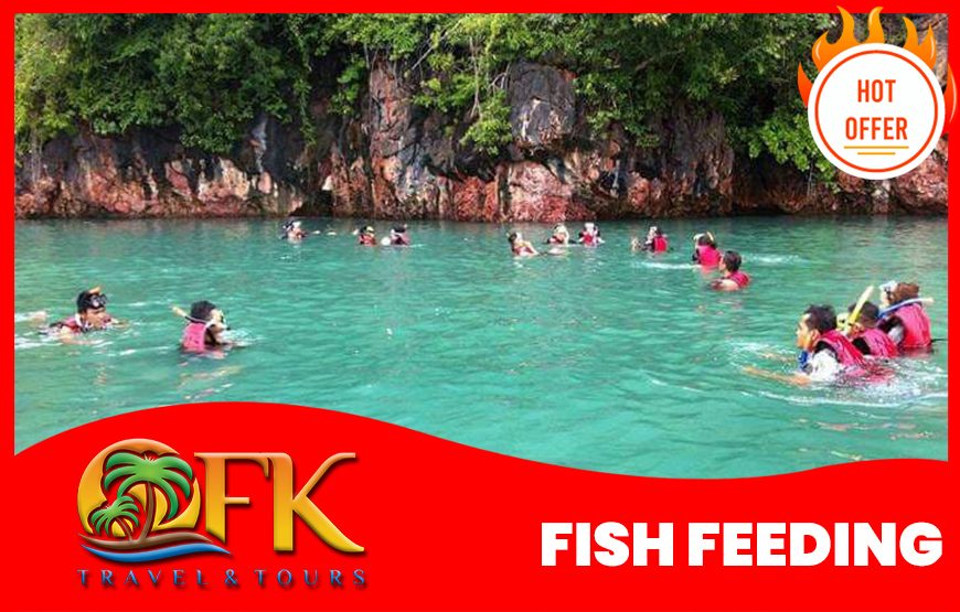 Langkawi Mangrove Tour 4 hrs Private per Boat