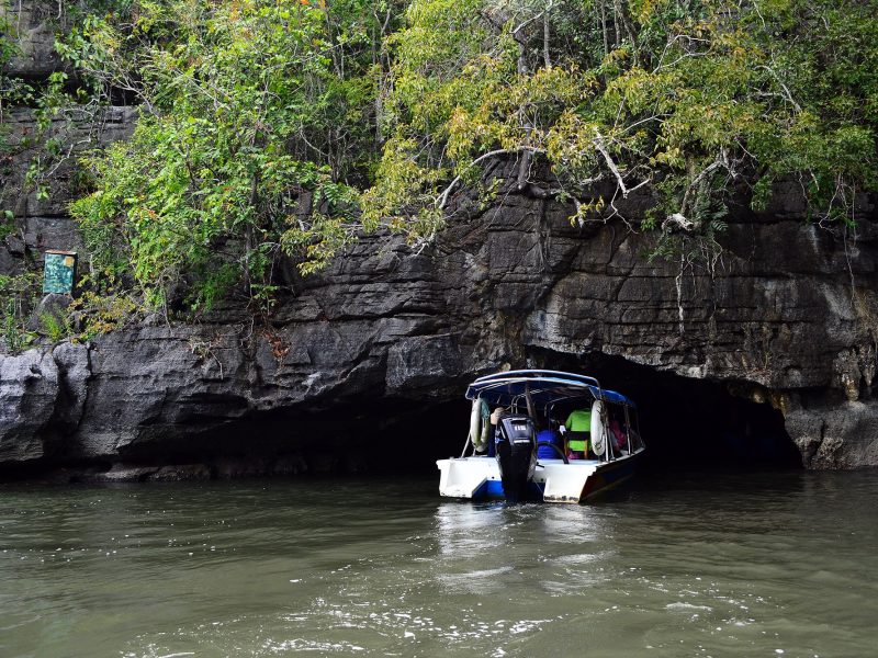 Langkawi Mangrove Tour and Island Hopping