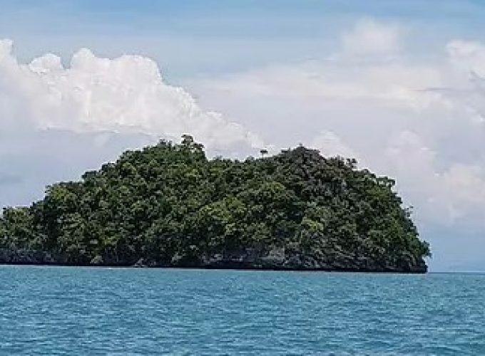 Langkawi Mangrove Tour and Island Hopping