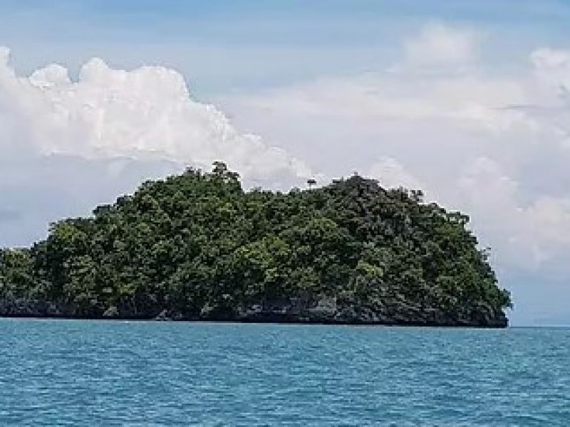 Langkawi Mangrove Tour and Island Hopping