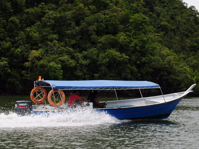 Langkawi Mangrove Tour