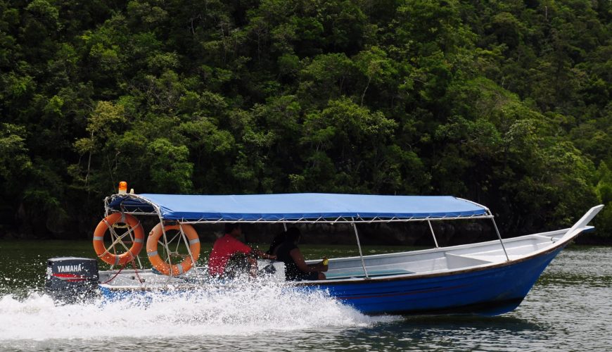 Langkawi Mangrove Tour