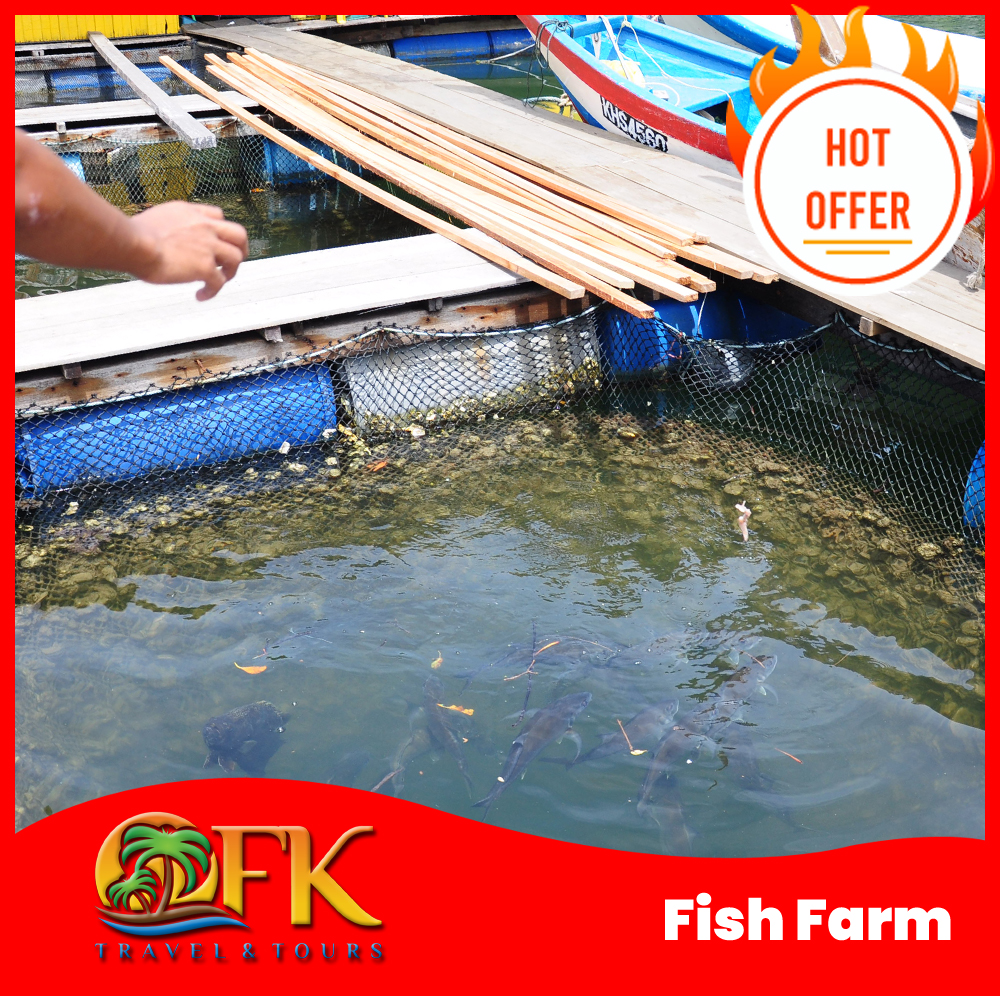 Fish Farm