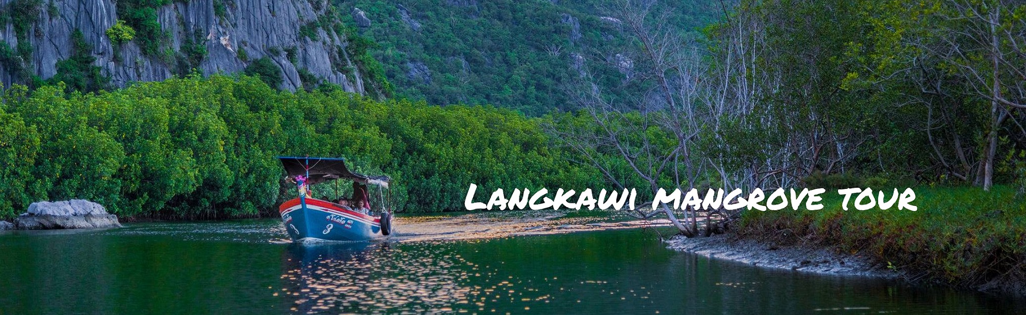 Langkawi Mangrove Tour
