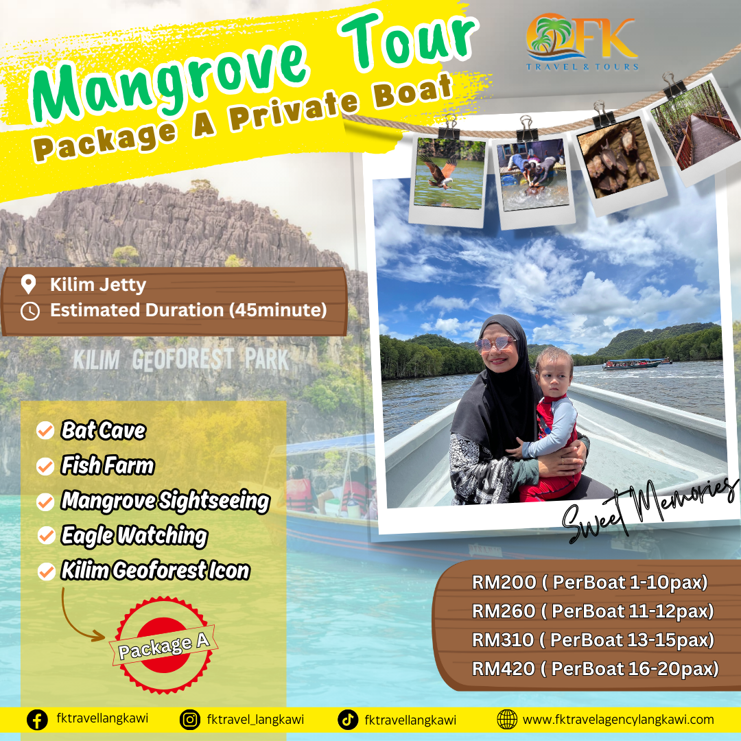 mangrove tour langkawi itinerary